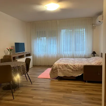 Monolocale Centro Apartment